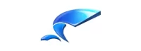 Wing FTP Software