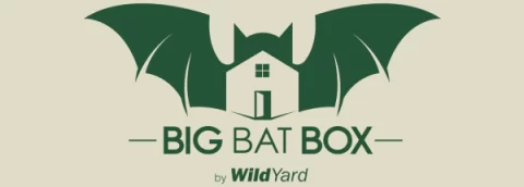 Big Bat Box Big Bat Box