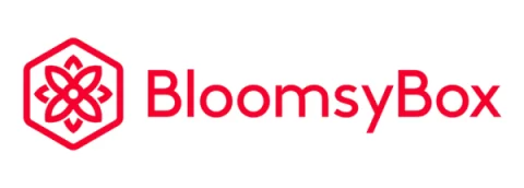 BloomsyBox BloomsyBox