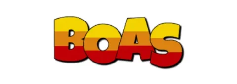 BOAS LOGO